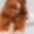 cffdc61ff3e366993200085bf6c6a48f28d287b0_4021609062363_ai_Bond_Pro_60sec_Treatment_Goldwel