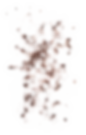 wdt-home-1-filler-section-cake-pieces.png