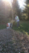 Worker using a leaf blower for fall cleanup services at Mr. Winter Snow Services & Landscape
