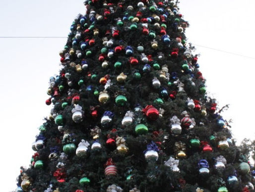 Annual Tree-Lighting Draws Thousands