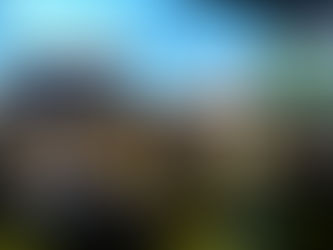 Filene Research Institute Engages Conversations on Finance Technology