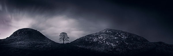 Hadrians-Wall.jpg