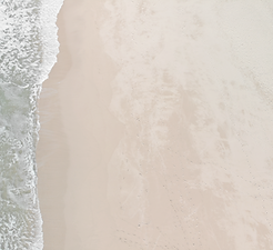 noah-boyer-mXz8dKrpO8w-unsplash_edited.p