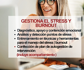 gestiona stress y burnout.png
