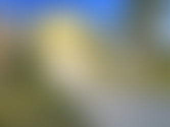 房源推荐 | 坦帕Key West风格独栋别墅