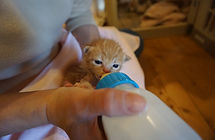 DSC03178.JPG