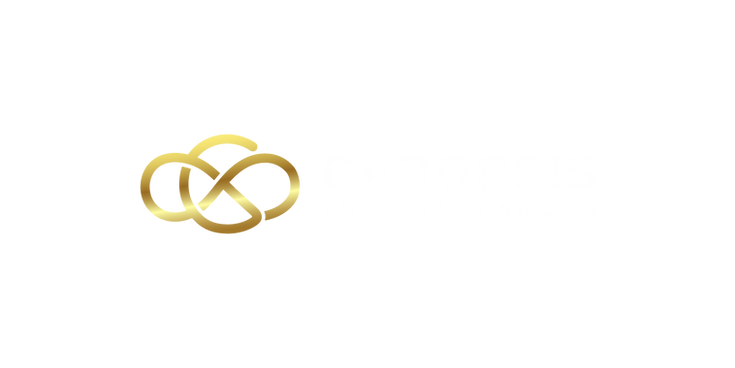 Car Opsis logo