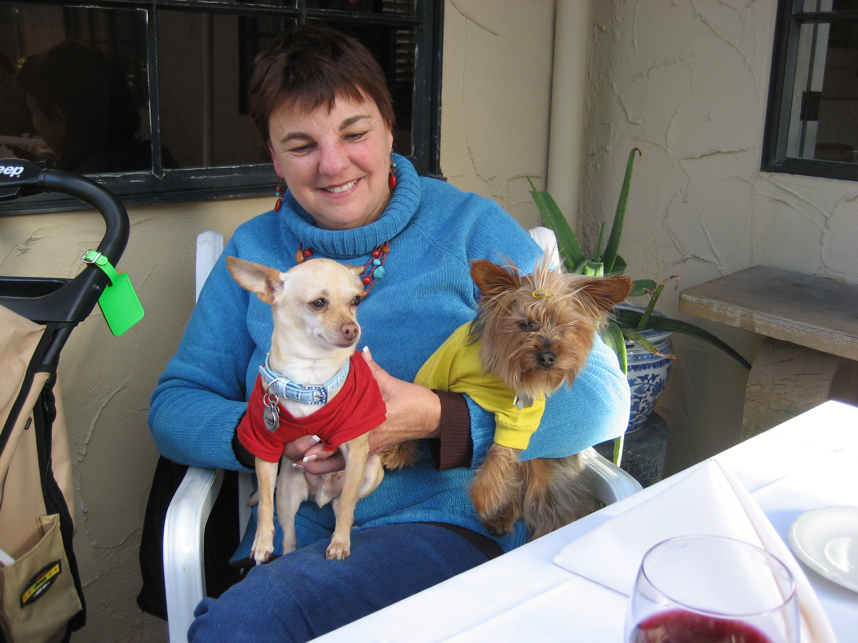 Diane & Friends