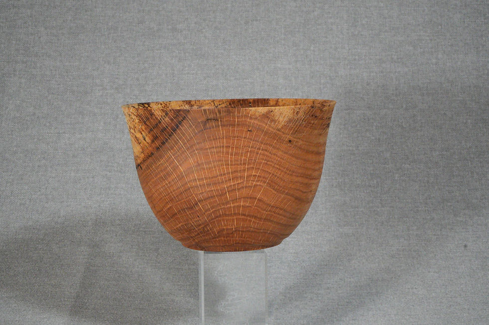 Medium Sized Oak Bowl with Natural Features of Spalting and Beetle Bore Holes Side 2