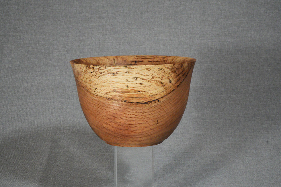Medium Sized Oak Bowl with Natural Features of Spalting and Beetle Bore Holes Side 1