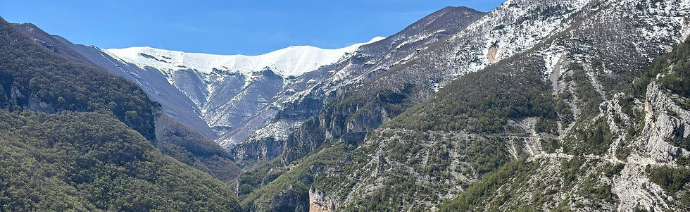 Immagine WhatsApp 2026-04-03 alle 11.45.16.jpeg