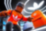 Roblox Avatar Item