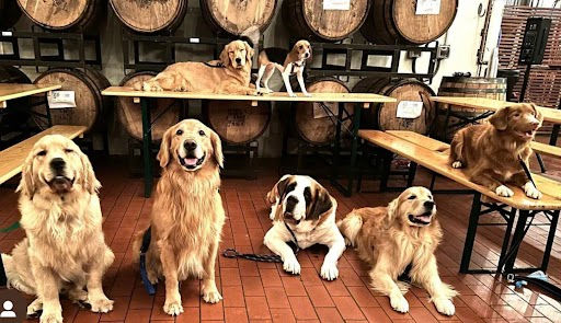 Lexington VetSquad Meet Up