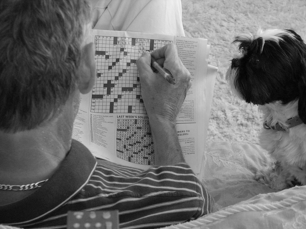 Crossword puzzles