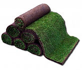 Sod Pick Up, Sod Delivery, Sod for Sale, Sod sold per roll