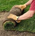 Laying Sod, Des Moines, Sodding, Sod Installation, Sodding, Seeding, Grading in Des Moines