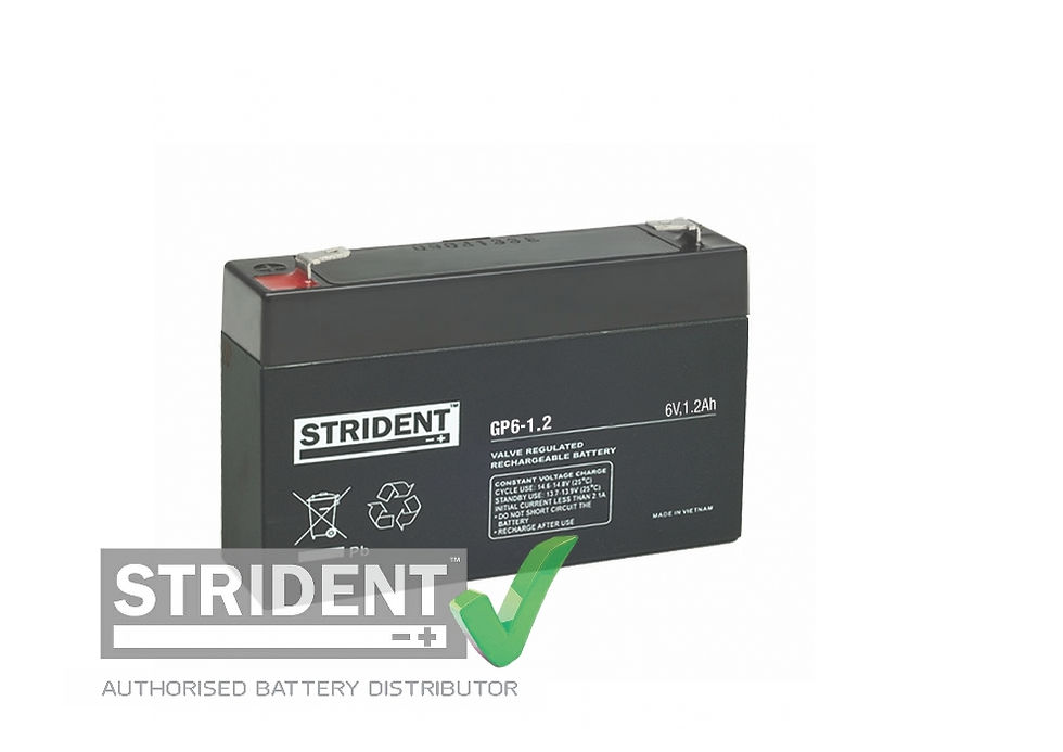 6volt 1.2ah AGM battery