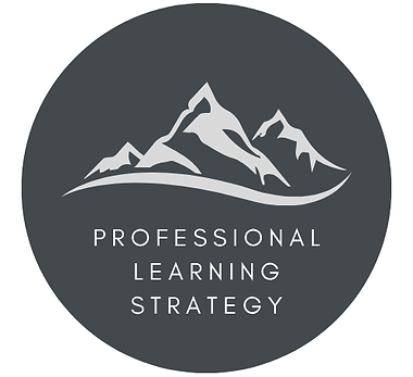 Professional Learning Strategy