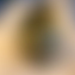 Apfel-Senf, selbstgemacht 