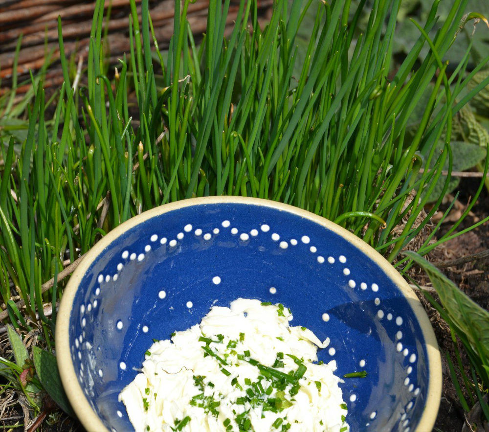 Schnittlauch-Aufstrich Schnittlauch-Aufstrich