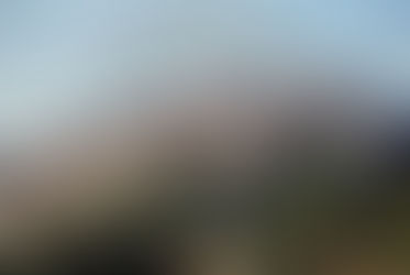 CAGNANO VARANO: TENTANO UN FURTO IN GIOIELLERIA CON LA TECNICA DEL BUCO ARRESTATI DAI CC