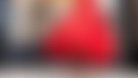 MICHELE MANGANO e La Tarantella di San Michele