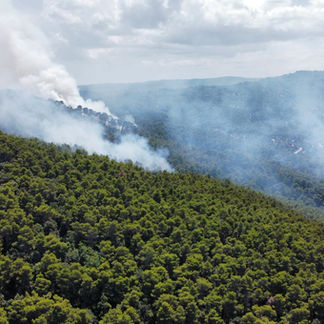 Pineta Marzini, fiamme domate: il Sindaco Sciscio accusa, "Burocrazia cieca, disastro annunciato"