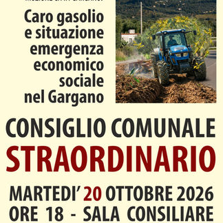 Consiglio Comunale Straordinario ad Ischitella: al centro il caro gasolio e l'emergenza economico-sociale nel Gargano