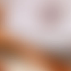 Lesina: il Consiglio di Stato sospende la data delle elezioni e dispone la verifica delle schede nulle