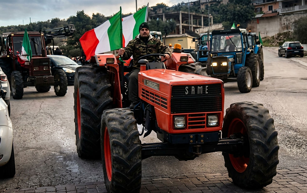 VICO DEL GARGANO SI SOLLEVA: "AL FIANCO DEI NOSTRI OLIVICOLTORI, DIFENDIAMO LA NOSTRA TERRA"