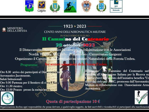 Il Cammino del Centenario
