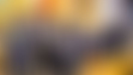 A Peschici la Celebrazione di San Sebastiano, Patrono delle Polizie Locali d'Italia