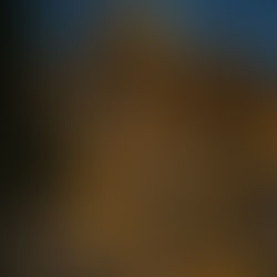 VICO DEL GARGANO ACCENDE IL NATALE DEL GARGANO