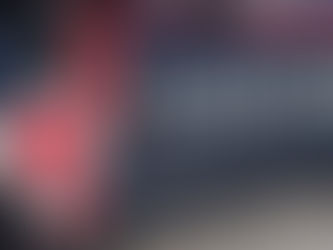 Provincia di Foggia: bilancio delle attività svolte dall’Arma dei Carabinieri nel 2024