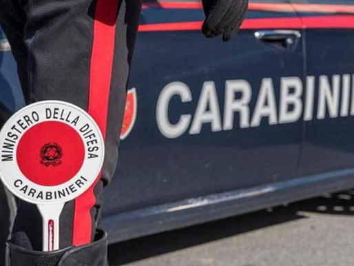 Provincia di Foggia: bilancio delle attività svolte dall’Arma dei Carabinieri nel 2024
