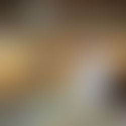 Donato Taronna: il grande "Maestro dell'arte nobile" di Monte Sant’Angelo va in pensione