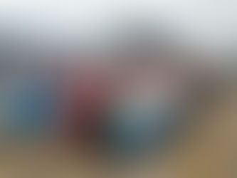 Nuova flotta di Treni per Ferrovie del Gargano