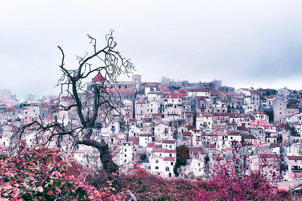 DALLA FORESTA AL BORGO, VICO DEL GARGANO RACCONTA IL SUO AUTUNNO