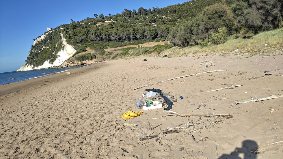 Riceviamo e pubblichiamo: «Unisciti a noi per pulire Calenella, per una Calenella splendente!»