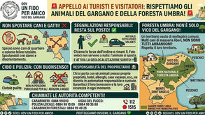 APPELLO AI TURISTI (E NON SOLO): L'ESTATE È ARRIVATA, MA LE REGOLE NON VANNO IN VACANZA!