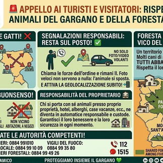 APPELLO AI TURISTI (E NON SOLO): L'ESTATE È ARRIVATA, MA LE REGOLE NON VANNO IN VACANZA!