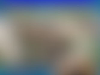 Giandiego Gatta sulla questione "lupi"