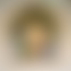 La Madonna del Buon Consiglio: da Scutari a Genazzano a Vico del Gargano