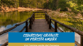 Un progetto per visitare la Foresta Umbra