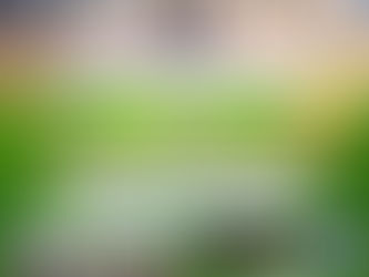 Primo Memorial Antonio Gallo