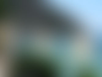 Gargano: con un esposto alla Corte dei Conti, Italia Nostra riafferma il proprio impegno per la tutela del parco nazionale