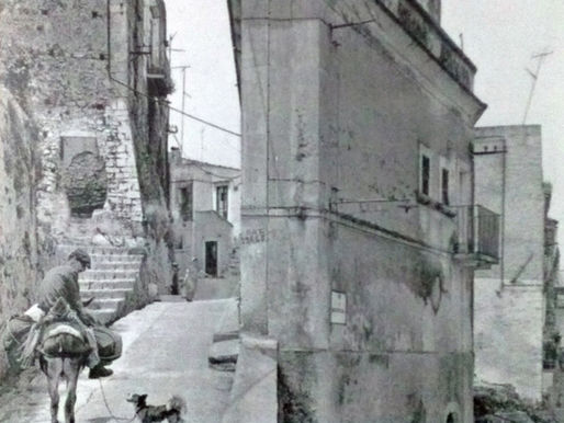 L'asino e il borgo: un viaggio nella memoria tra fatica e gratitudine
