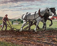 macc-the-horse-observed-featured-image-lg_edited.jpg