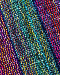 MNHUG - Sequence Detail.jpeg
