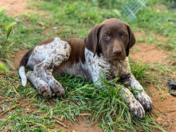 123546937_1311130272556949_4216072994109909139_n